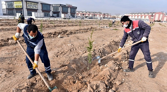 Karatay Belediyesi basın mensupları adına fidan dikti