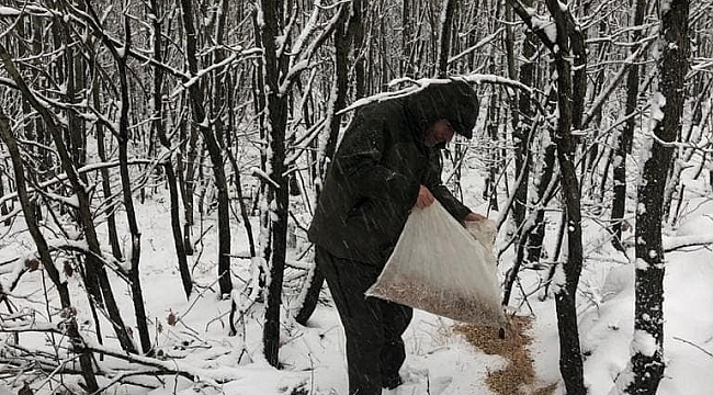 Karlı günlerde yaban hayvanları için doğaya 200 kilogram yem bırakıldı