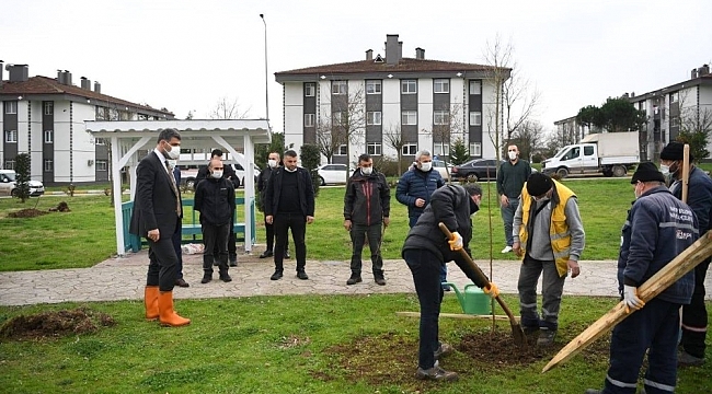Kartepe'de her yıl bin 100 fidan toprakla buluşacak