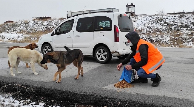 Keçiören'de can dostlar aç bırakılmadı