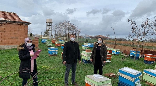 Kırklareli'de arıcılar denetlendi