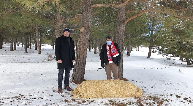 Kış şartlarının ağırlaştığı Akdağ'da yaban hayatı unutulmadı