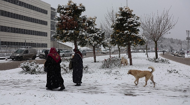 Kocaeli'de şehir merkezine yakın bölgeler beyaz örtü ile kaplandı
