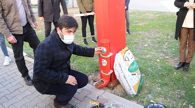 Kozan'da sokak hayvanlarına su ve mama desteği