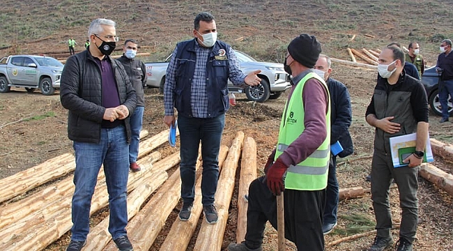 Kozan'da yanan orman alanları devlet eli ile yeşerecek