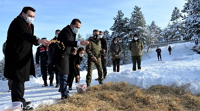 Küçükelmalı Tabiat Parkı'nda yaban hayvanları için yemleme çalışmaları yapıldı