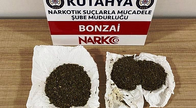 Kütahya'da bir şüphelinin üzerinde bonzai ele geçirildi