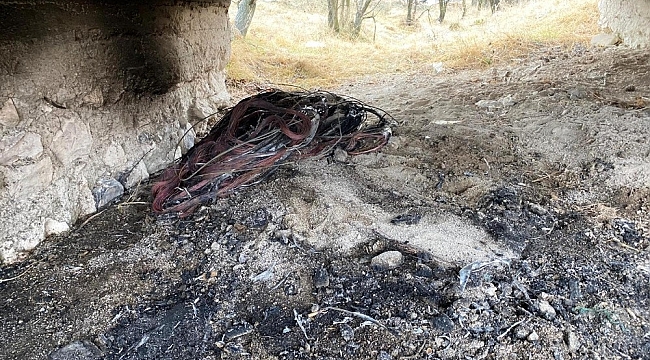Kütahya'da kablo hırsızı foto kapan sayesinde yakalandı
