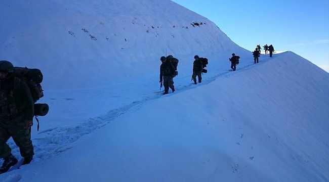 Lice'de "Eren-2 Lice" operasyonu başlatıldı