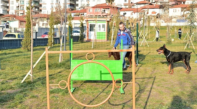 Mamak Belediyesinden 'Köpek Parkı'
