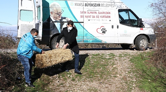 Manisa'da yılkı atları ve yaban hayvanları unutulmadı