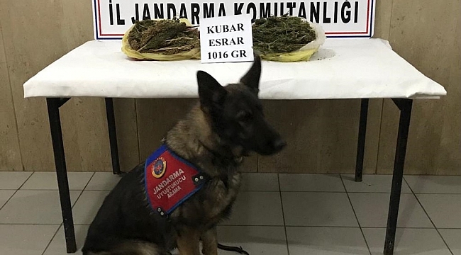 Motosikletin heybesinden uyuşturucu çıktı