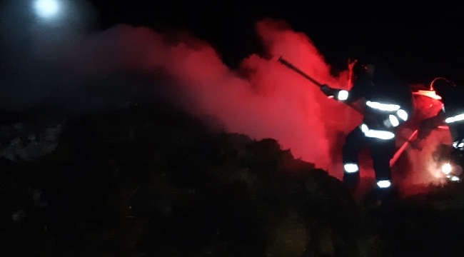 Muradiye'de 200 balya ot yandı
