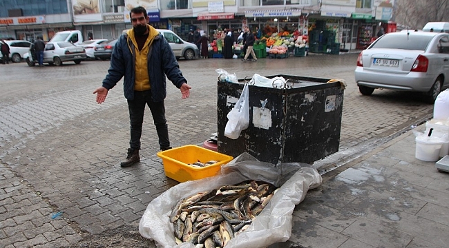 Murat Nehri'nde balık bolluğu