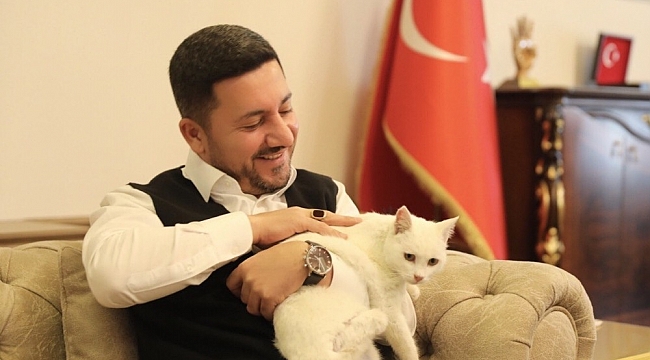Nevşehir Belediye Başkanı Arı, bir ayağı olmayan sokak kedisini sahiplendi
