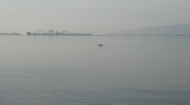 Ocak ayında denizin keyfini çıkardı
