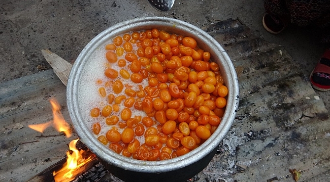 Odun ateşinde kazanlar kamkat reçeli için kaynadı