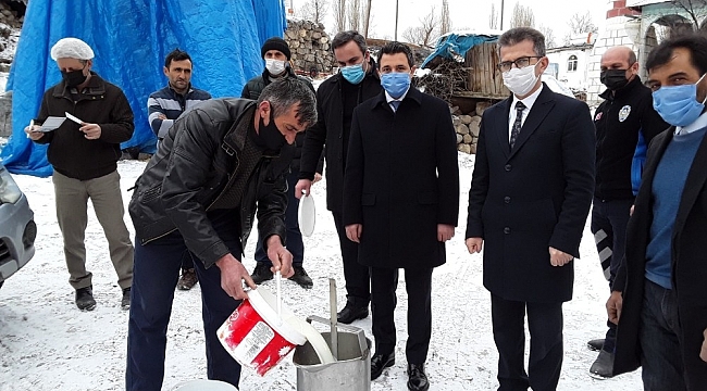 Olur'da sütler kapılardan toplanmaya başladı