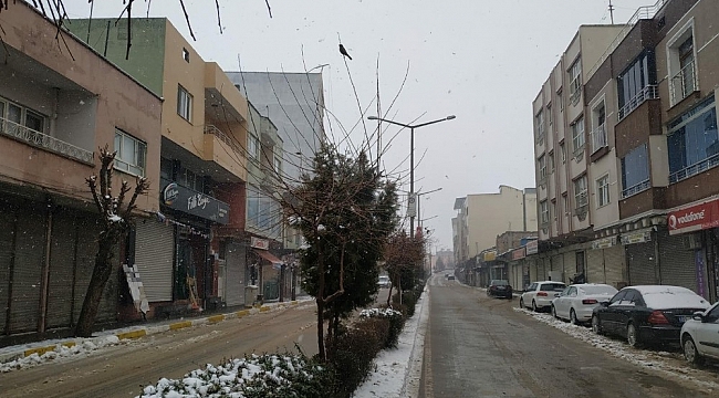 Ömerli ilçesinde vaka sayısı sıfıra düştü
