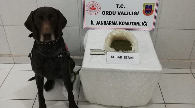 Ordu'da uyuşturucu satışı yapan 2 torbacı yakalandı