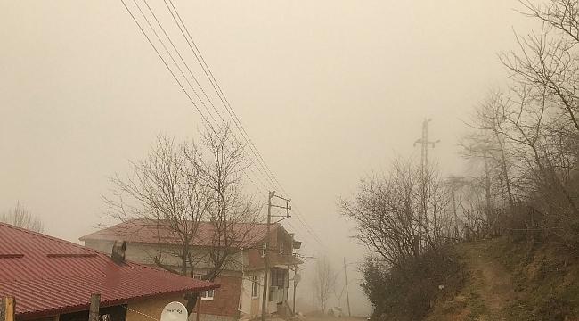 Ordu'dan sis manzarası