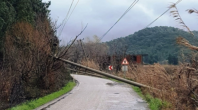 Ortaca'da fırtına çatıları uçurdu, aydınlatma direklerini devirdi