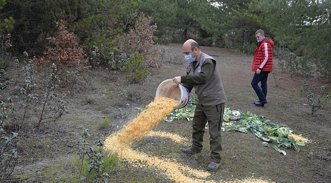 Pazar alanından toplanan atıl yeşillik ve meyveler yaban hayvanları için doğaya bırakıldı