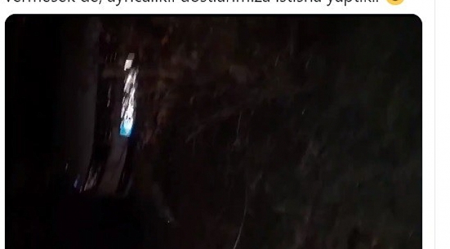 Polis memurları emniyet bahçesinde yiyecek arayan tilkileri elleriyle besledi