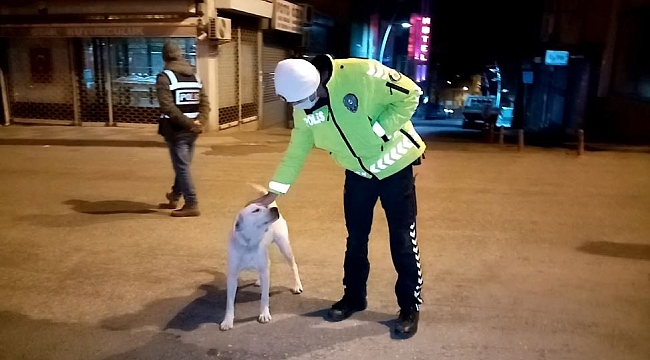 Polisin köpeğe şefkati yürekleri ısıttı