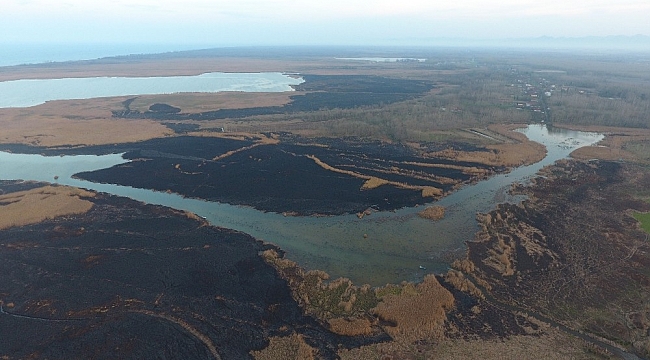 Samsun'da 4 gün süren sazlık yangını