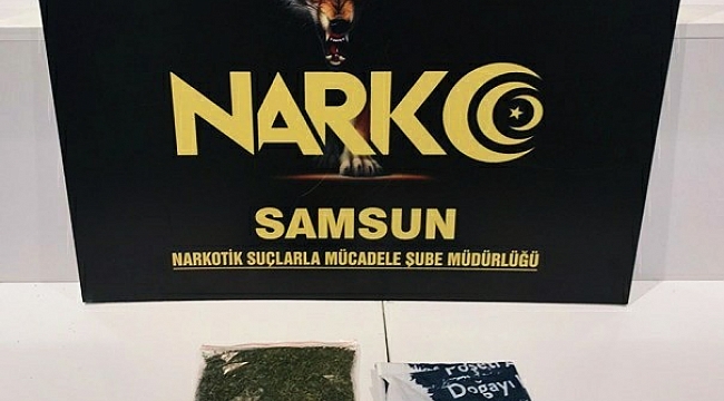 Samsun'da bonzai ile yakalanan şahıs gözaltına alındı