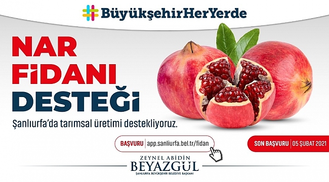 Şanlıurfa'da üreticiye nar desteği