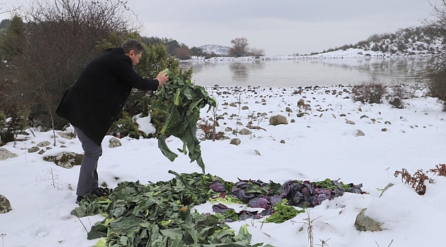 Saruhanlı Belediyesi yaban hayvanlarını unutmadı