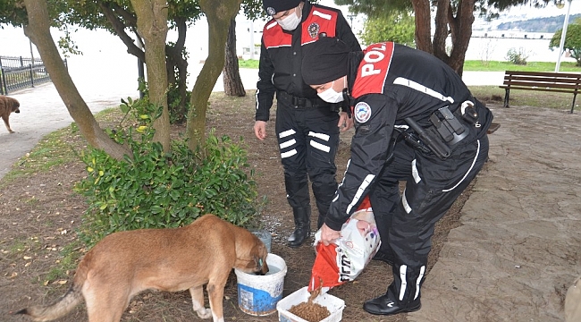 Sinop polisinden can dostlara yiyecek yardımı