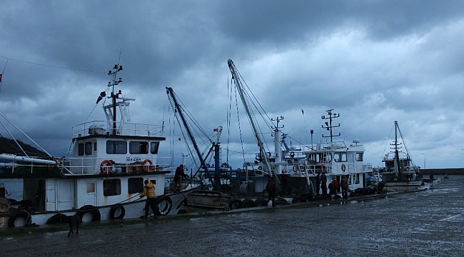 Sinop'ta deniz mayını bulundu