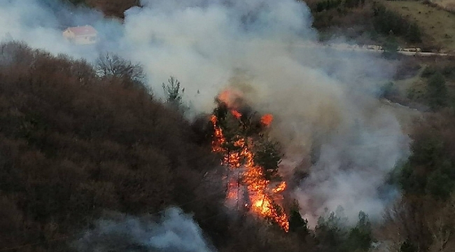 Sinop'taki orman yangını söndürüldü