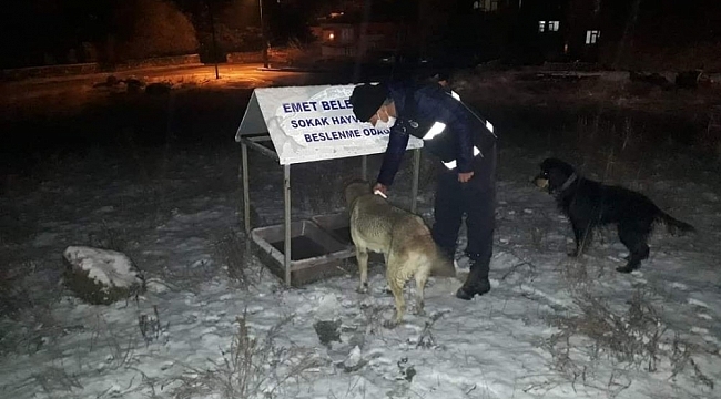 Sokak hayvanları için seferberlik