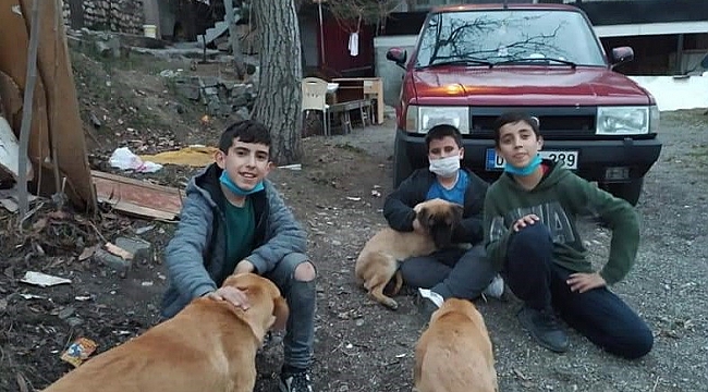 Sokak hayvanlarını besleyen çocuklara hediye