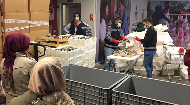 Sosyal Market'ten ihtiyaç sahiplerine 2,5 ton hamsi