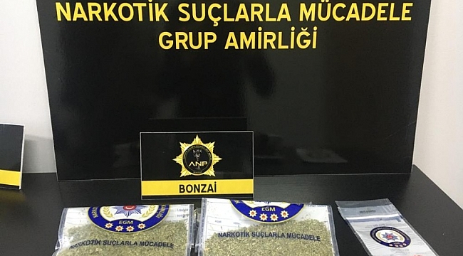 Şüpheli araçtan bonzai ve Afyon sakızı çıktı