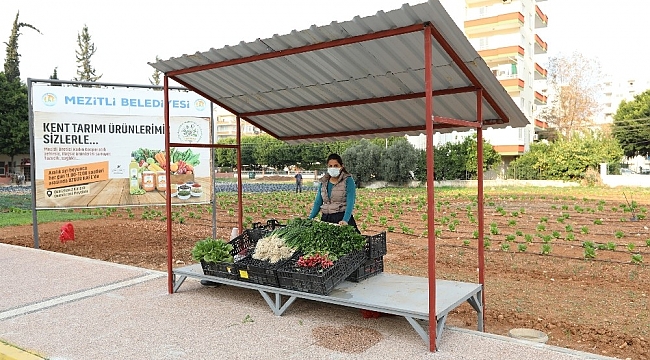 Tarlada üretip yanı başında satıyor