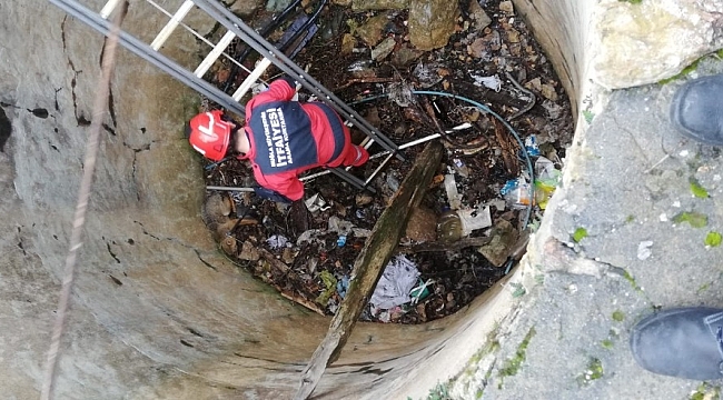 Tilkiyi kurtarmak için seferber oldular