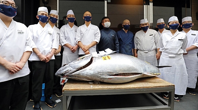Tokyo'daki balık pazarında geleneksel yeni yıl mezatı