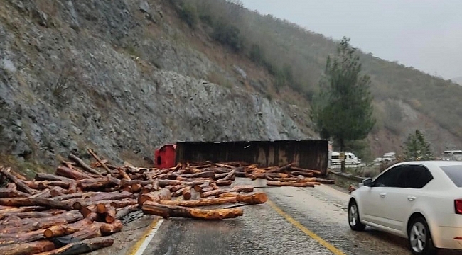 Tomruk yüklü tır devrildi, ilçe yolu ulaşıma kapandı