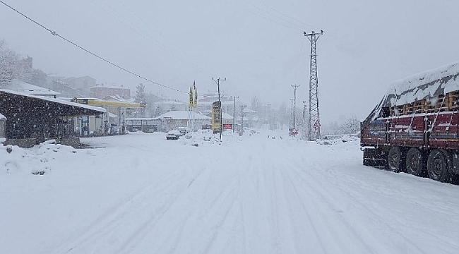 Tunceli'de kar bastırdı, 160 köy yolu kapandı