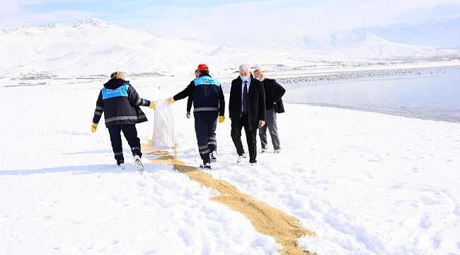 Tuşba Belediyesi yaban hayvanları için doğaya yem bıraktı