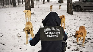 Uludağ’ın miniklerine Osmangazi’den şefkat eli