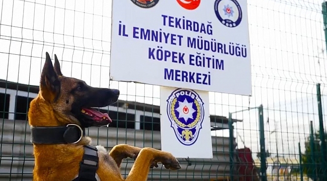 Uyuşturucu tacirlerinin korkulu rüyası Larissa'ya özel klip
