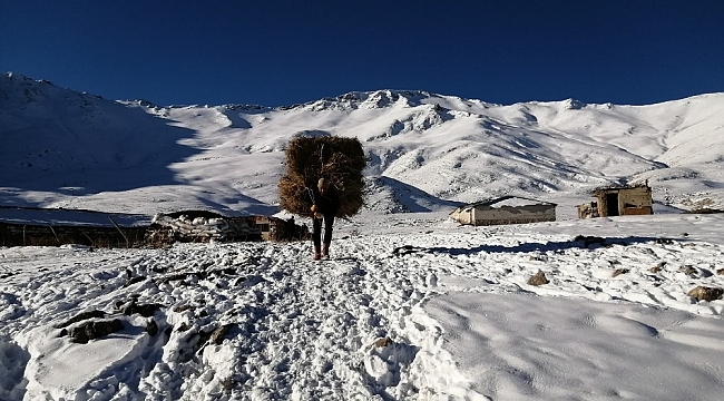 Vanlı çobanlar yayla sezonunu kapattı
