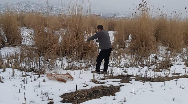 Yaban hayvanları için doğaya yem bırakıldı